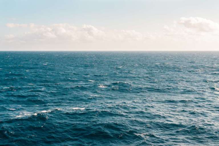 Il mare al centro della sostenibilità